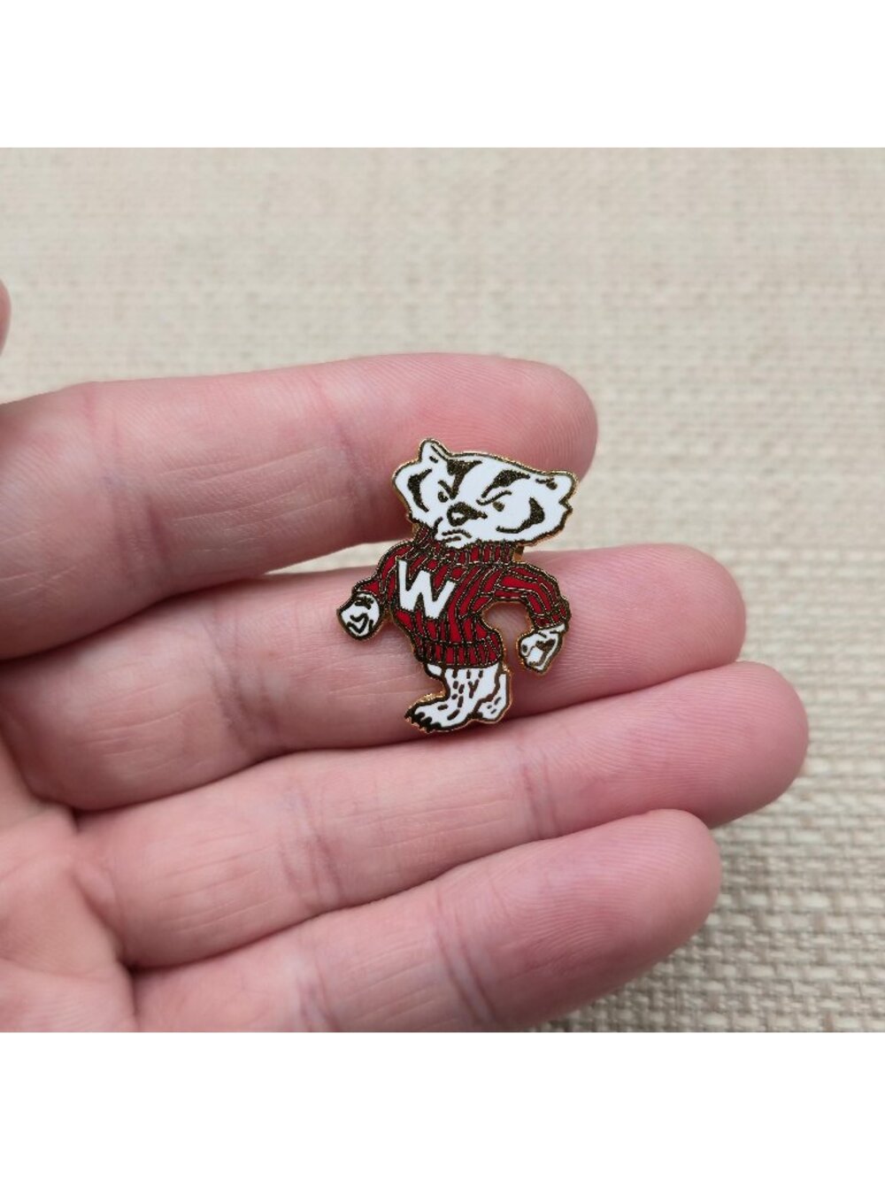 Wisconsin Badgers Bucky Badger NCAA College Football Mascot Lapel Pin A8128